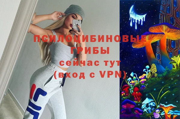кокс Алексин