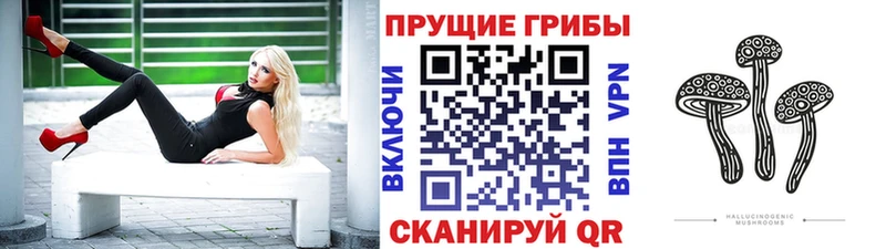 Галлюциногенные грибы Psilocybine cubensis  купить закладку  Грязи 