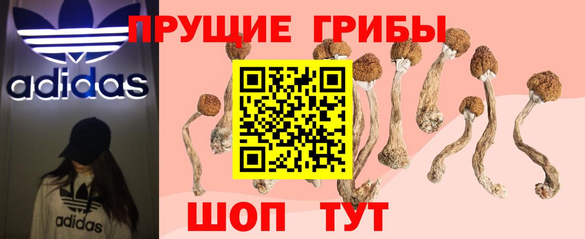 Псилоцибиновые грибы Psilocybine cubensis  Вход с VPN  Грязи 